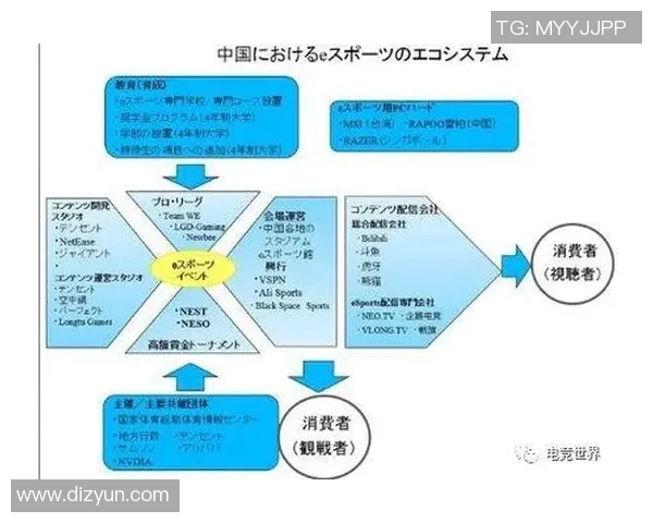 电竞实时数据深度解析V5团队协作表现与其他战队的对比分析