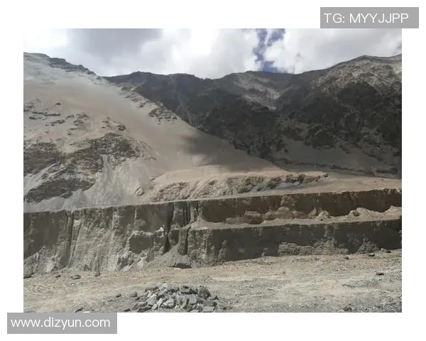 陈娜畅谈和平精英职业生涯的成长与挑战之路