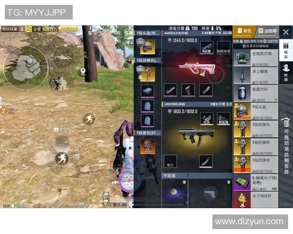 电竞新闻和平精英巨献探索LNG灵活性与未来发展潜力的深度解析 电竞新闻和平精英巨献探索LNG灵活性与未来发展潜力的深度解析